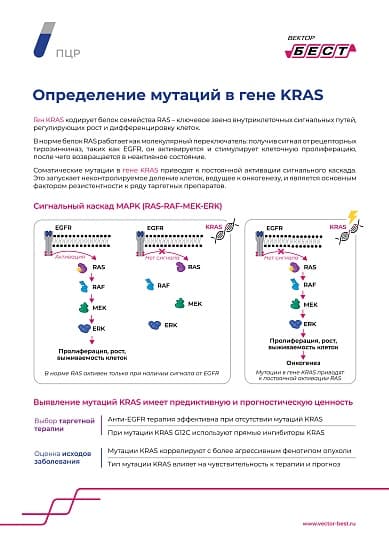 РеалБест-ОНКО KRAS G12,13