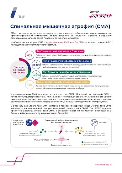 РеалБест-Генетика Гемостаз FGB/F13A1