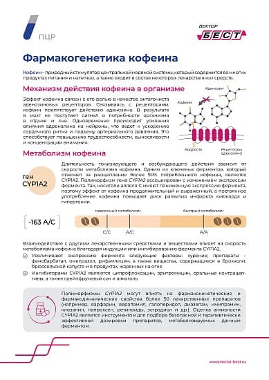 РеалБест-Генетика Варфарин (GGCX)