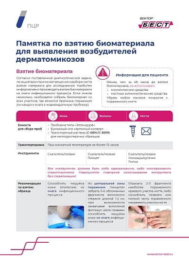 РеалБест ДНК Microsporum canis complex/ Nannizzia gypsea