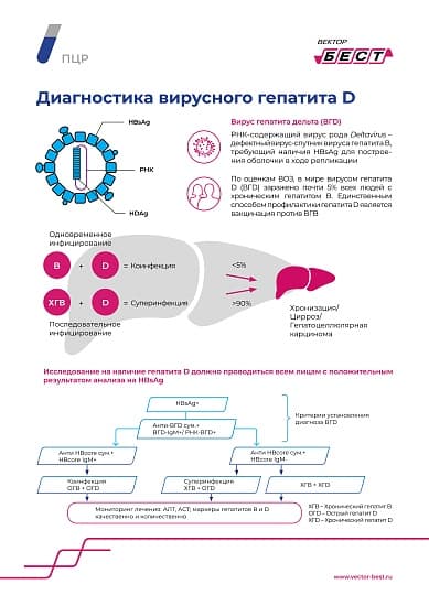 РеалБест ДНК ВГВ (форма 2)